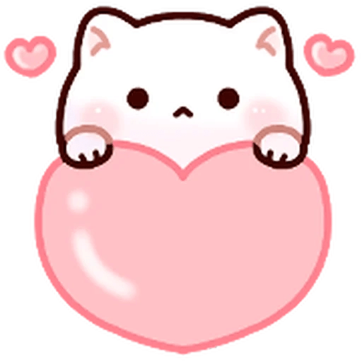 Gatito blanco muy cute 🐾✨ 23