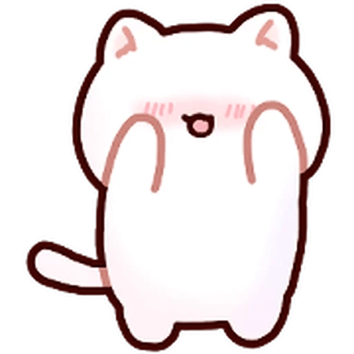 Gatito blanco muy cute 🐾✨ 24