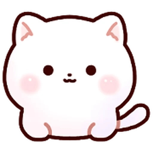 Gatito blanco muy cute 🐾✨ 25