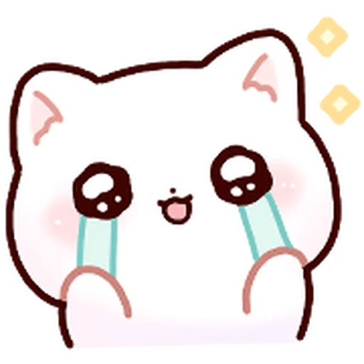 Gatito blanco muy cute 🐾✨ 26
