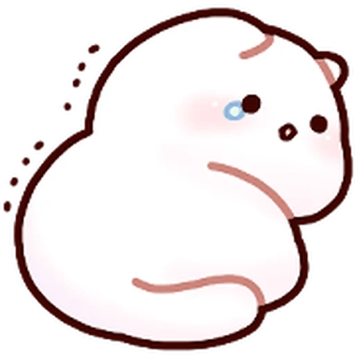 Gatito blanco muy cute 🐾✨ 27