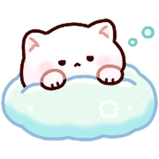 Gatito blanco muy cute 🐾✨ 30