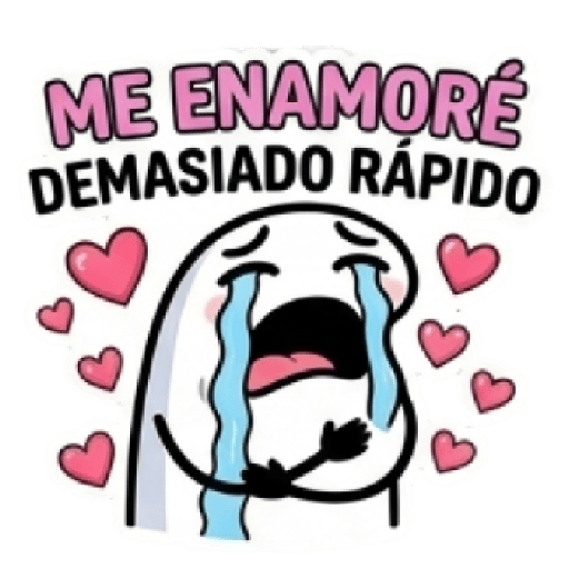 Delulu de amor FLORK💔✨