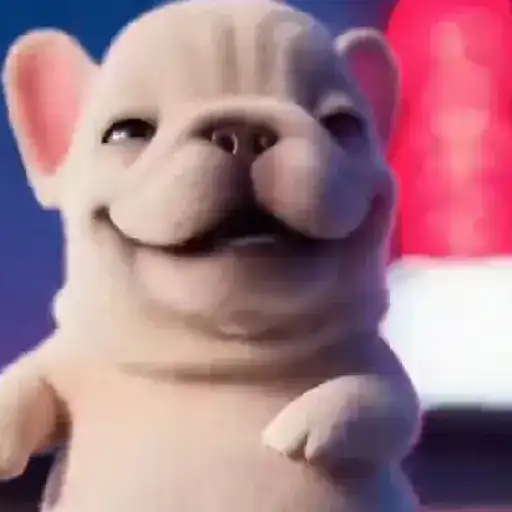 Perro Pibble 🐾✨