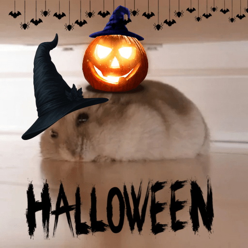 Hámsters Happy Halloween 🎃 