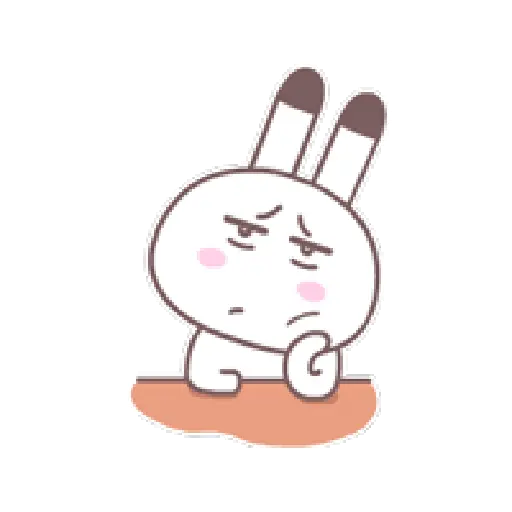 Conejito Blanco🐰✨