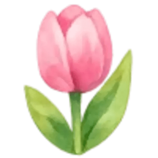 Cute Spring 🌷🌹💐