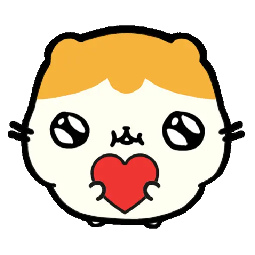 Hamster Amoroso🐹💕