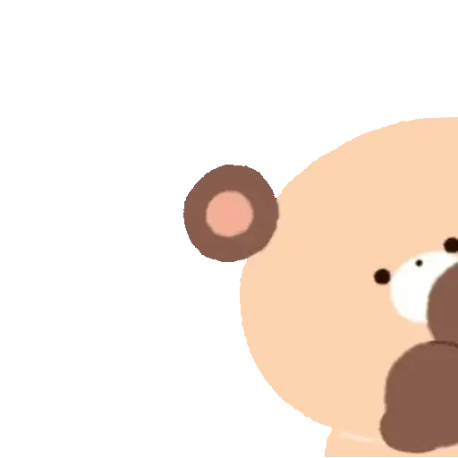Soft Bear 🐻✨ 6