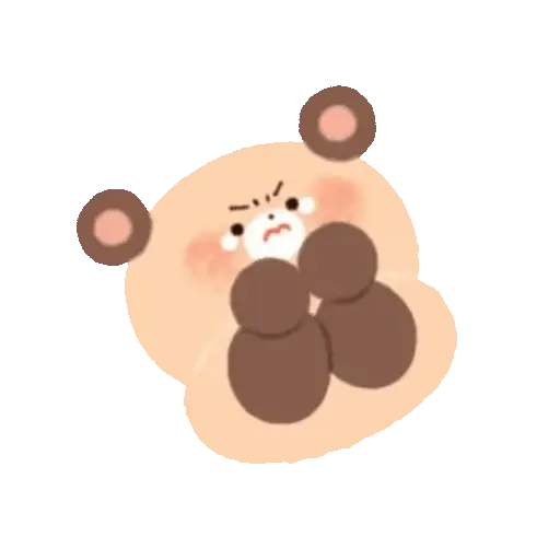 Soft Bear 🐻✨ 12