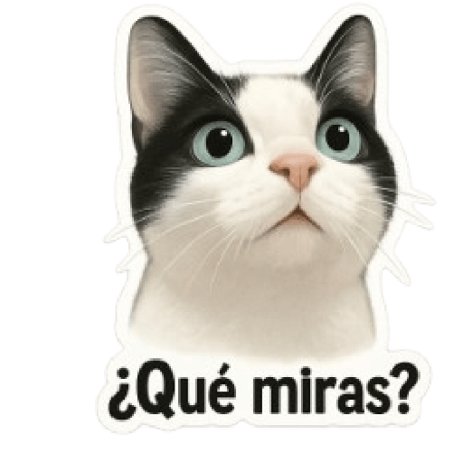 Gatito Tuxedo habla 💬🐾🐈‍⬛