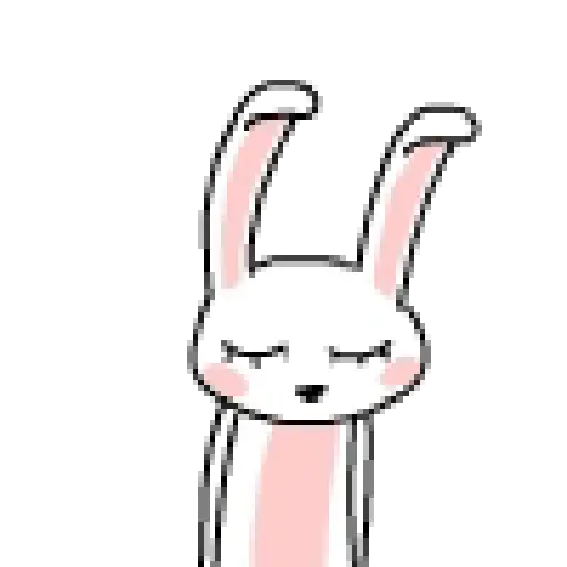 Cute Bunny 🐇🩷