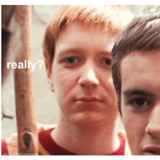 Fred y George 6