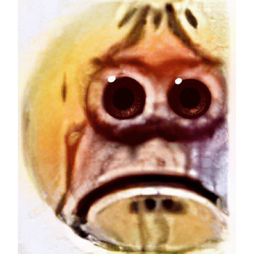 Uwu 15