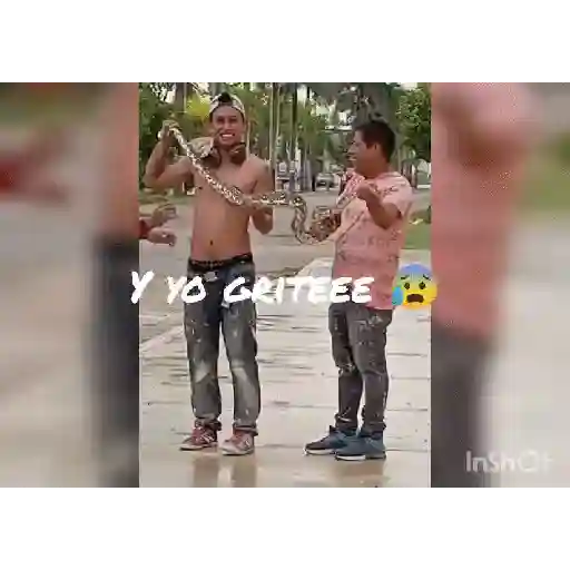 Para contestar 21