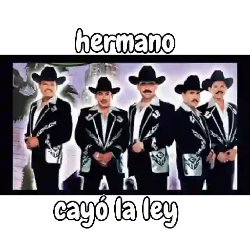 Para contestar 7