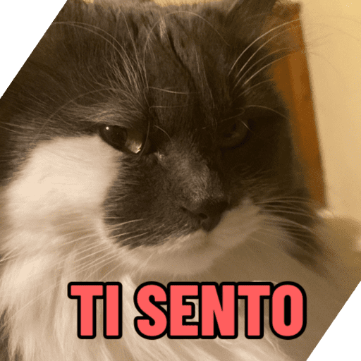 I miei adesivi 16