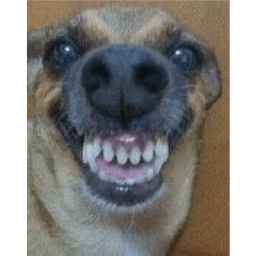 Engraçado  9