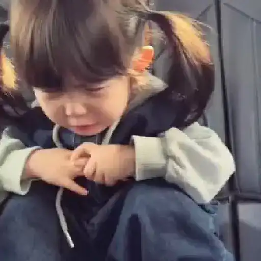 Shu shuyi 2
