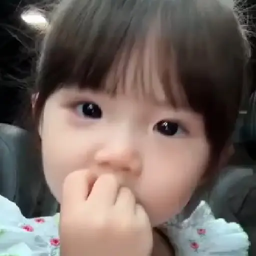 Shu shuyi 6
