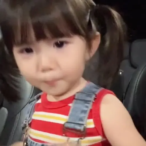 Shu shuyi 8