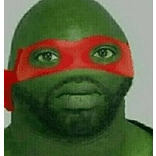 Tortugas Ninjas !  6