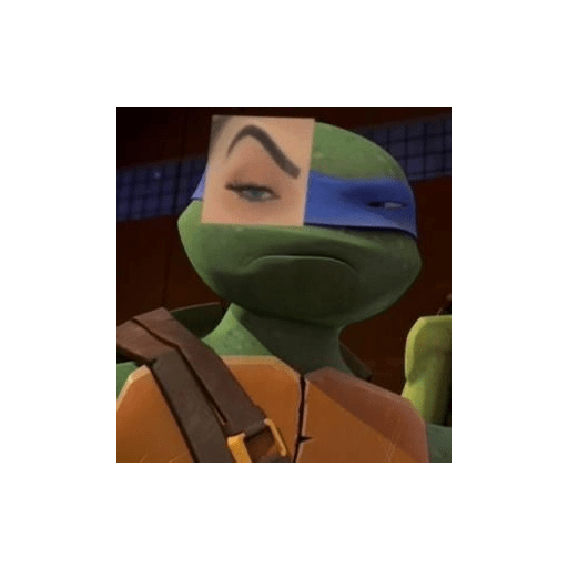 Tortugas Ninjas !  28