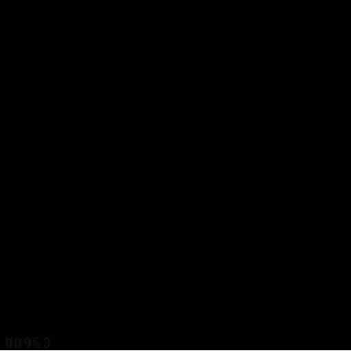 Random Animated 2 1