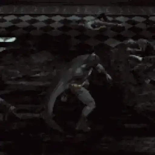 Random Animated 2 16
