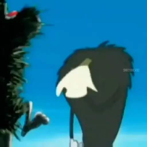 Random Animated 2 14