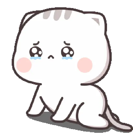 Kucing Gemoy 2 14