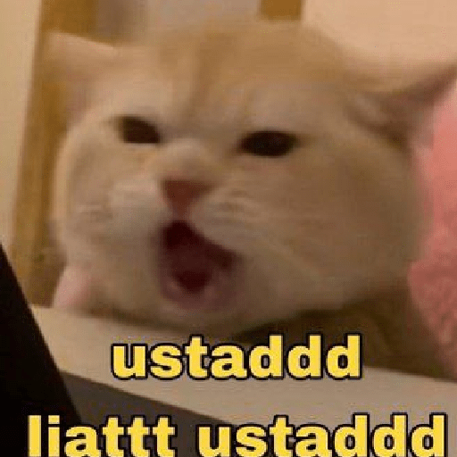 Meme 1 1