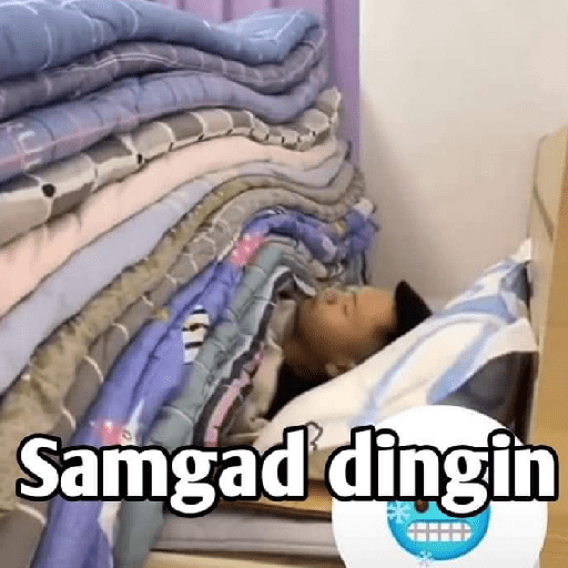 Meme 1 6
