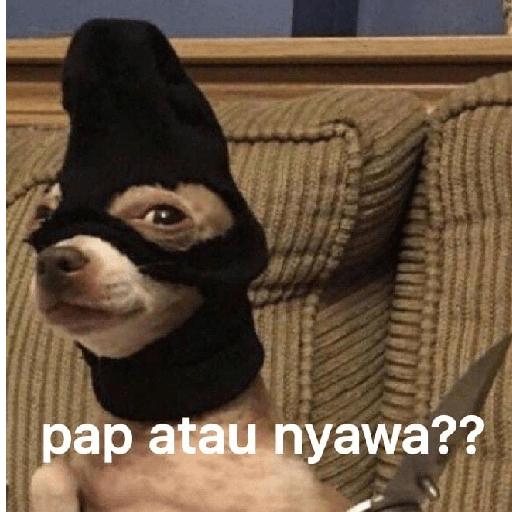 Meme 1 10