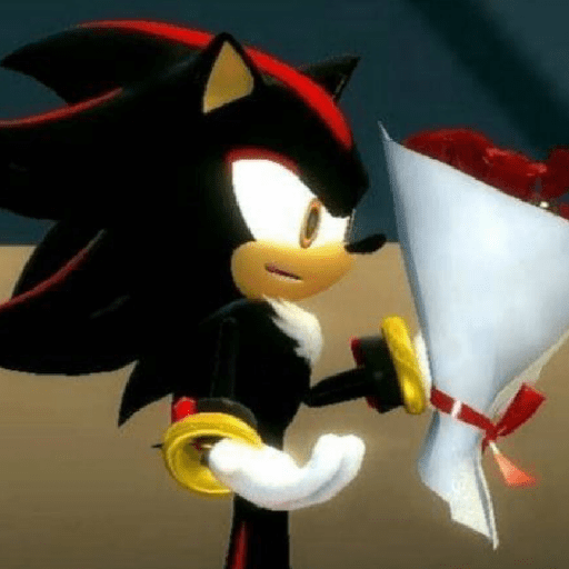 SHADOW 1