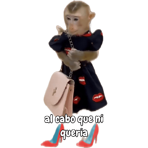 Mis pegatinas 10