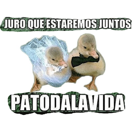 Mis pegatinas 13