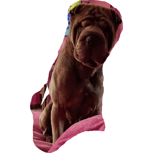 Mis pegatinas