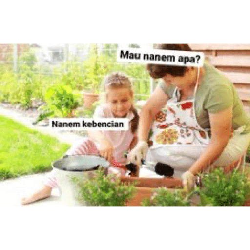 Hadeh 4