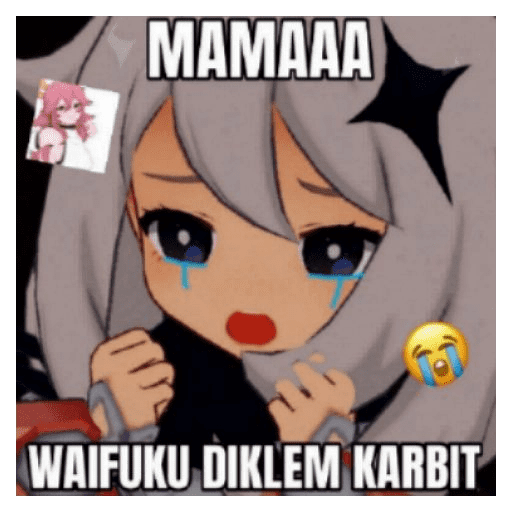 Waifu meme