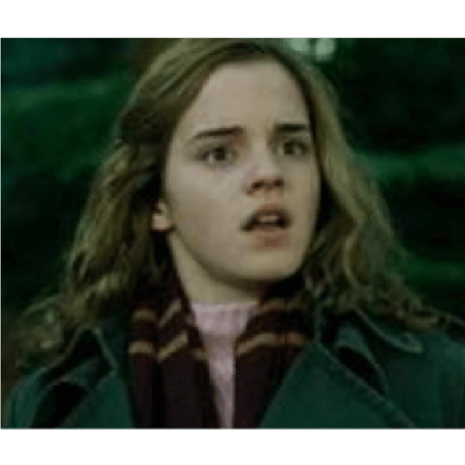 Harry Potter ⚡⚡⚡⚡ 15
