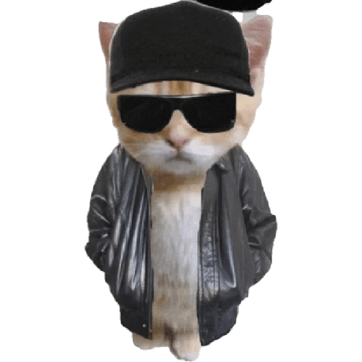 Michis  random mood 🐱 16