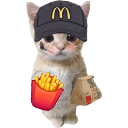 Michis  random mood 🐱 7