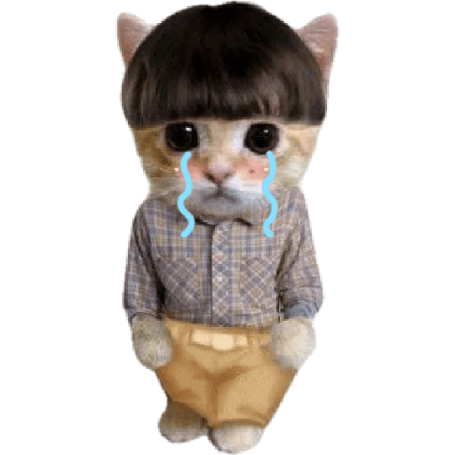 Michis  random mood 🐱 8