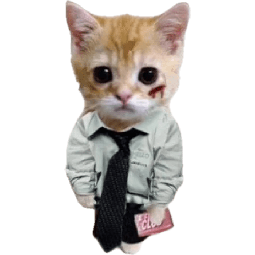 Michis  random mood 🐱 9