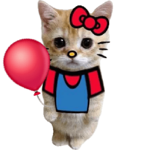 Michis  random mood 🐱 11