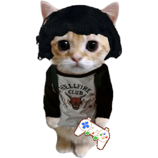 Michis  random mood 🐱 12