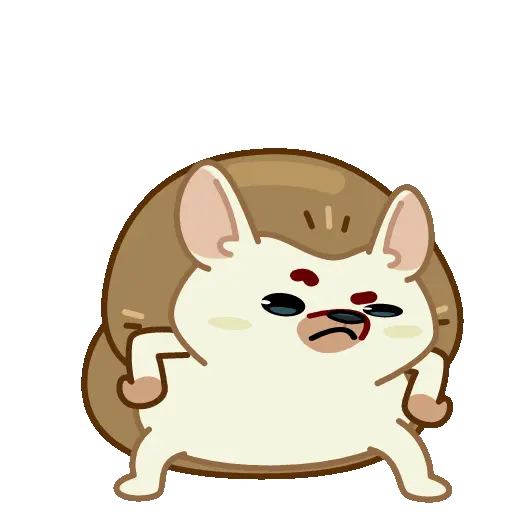Pequeño erizo cute 🦔 21