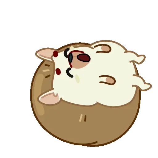 Pequeño erizo cute 🦔 16