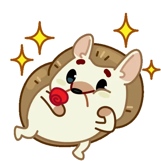 Pequeño erizo cute 🦔 15